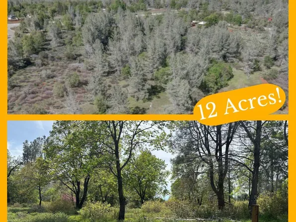 Dersch Rd, Shingletown, CA 96088