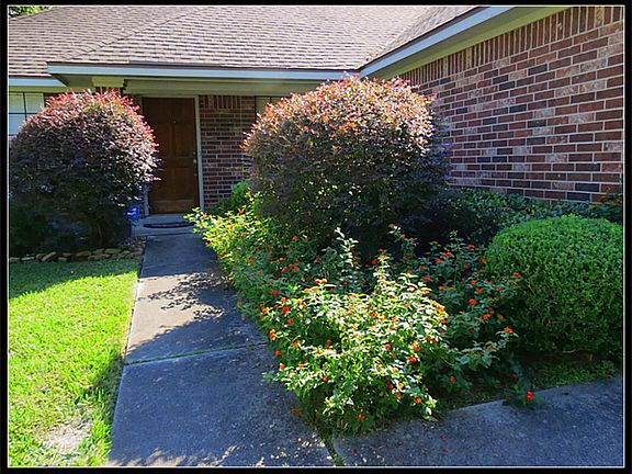 Colorful landscaping as you approach the front door.