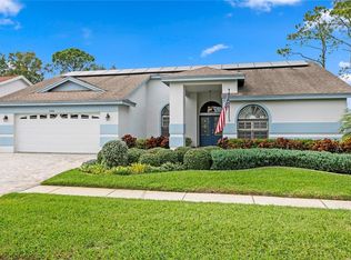 11206 Pocket Brook Dr, Tampa, FL 33635