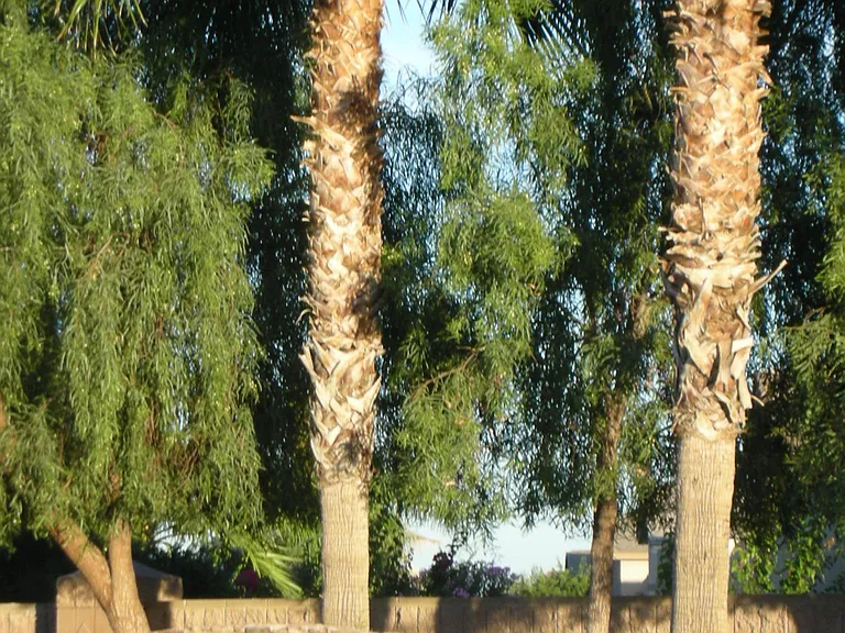 Cooper Commons Community