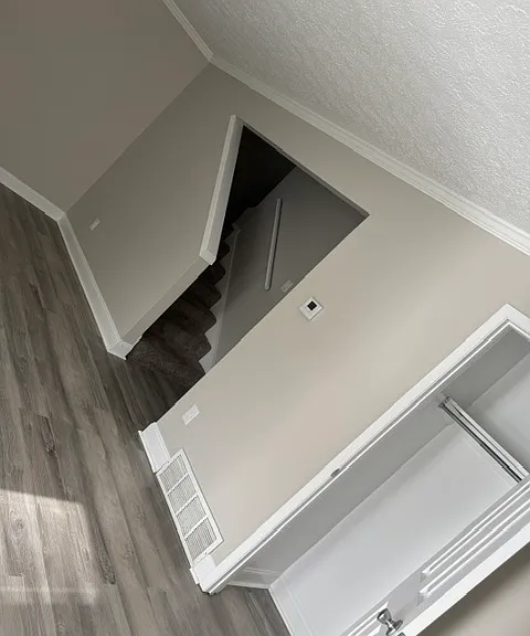 3933 Bronson Ct — Photo 3