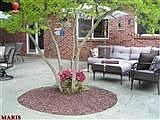 fantastic patio and outdoor space