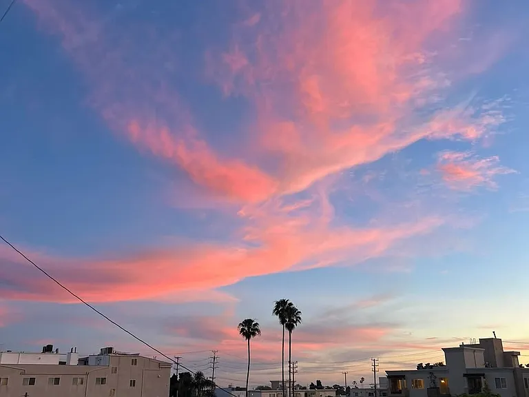 1235 Granville Ave — Photo 10