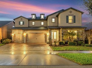 10407 Tree Skylark Pl, Riverview, FL 33569