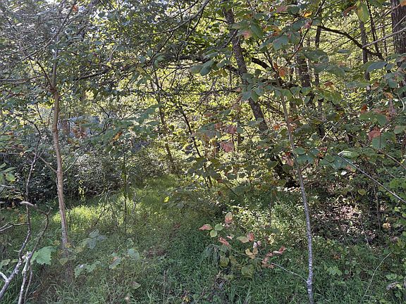 3rd image of 0 N Clear Fork Rd #1
