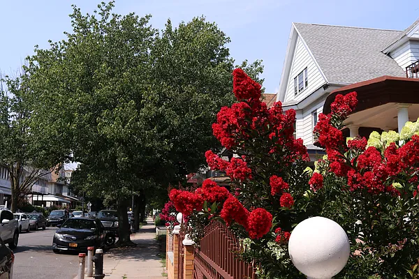 Rented by Corcoran | media 15