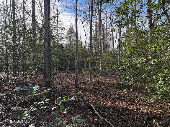 3rd image of Walker Hollow Dr