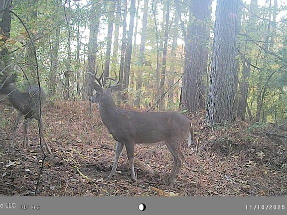 3rd image of 793 County Road 229