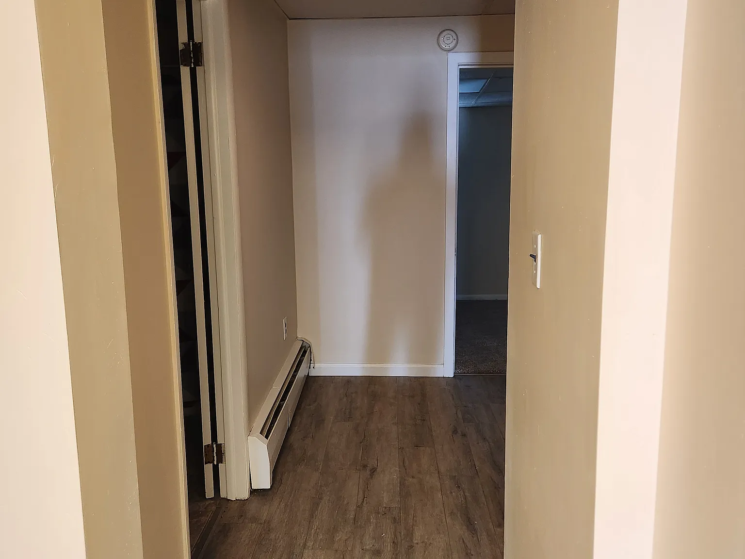 2 bed, $1,195 — Photo 3