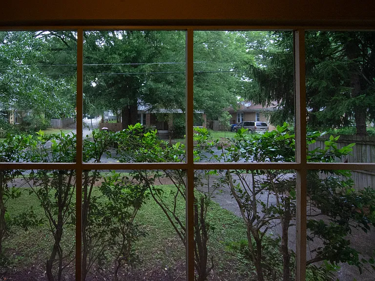 View from screened porch.