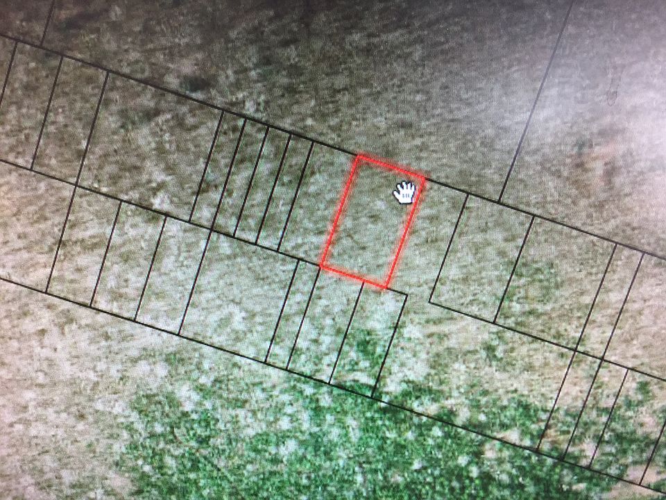 2nd image of Section 2