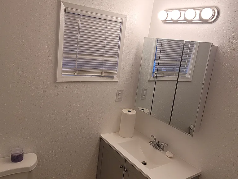 Master bath sink toilet