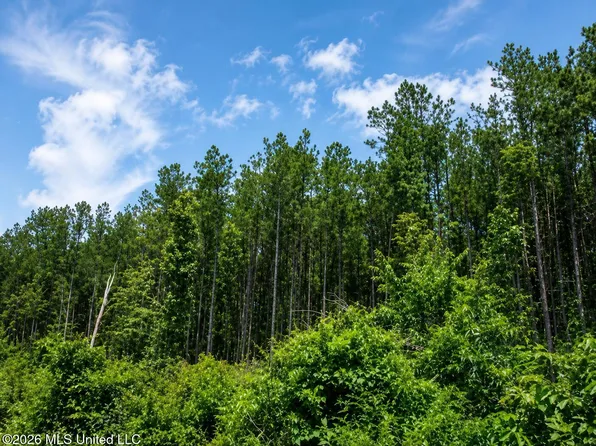 S C Rd #114, Mize, MS 39116