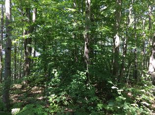 0 Alpine Dr LOT 127, Reed City, MI 49677