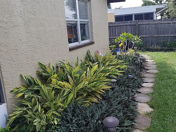 5th image of 3127 Dole St
