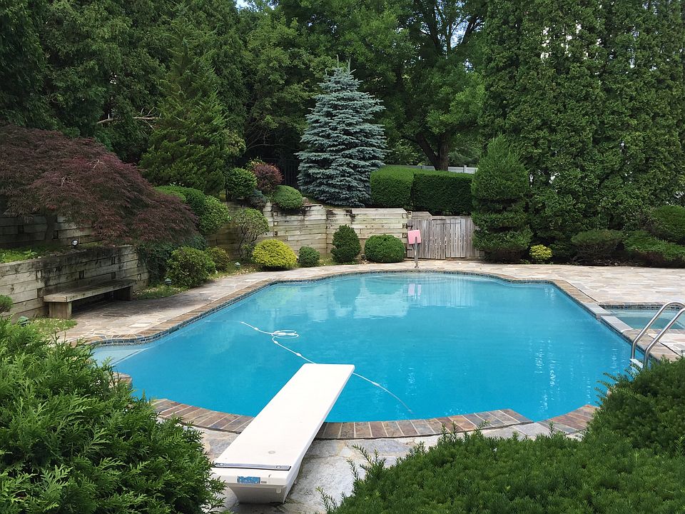 MATURE PLANTINGS FOR PRIVACY