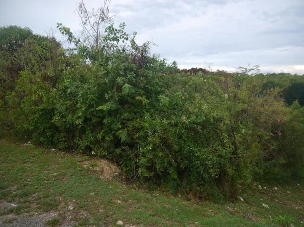 53 Sion Farm QU, St. Croix, VI 00820