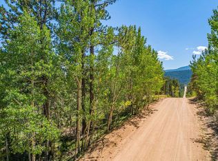 454 Sullivan St, Bailey, CO 80421