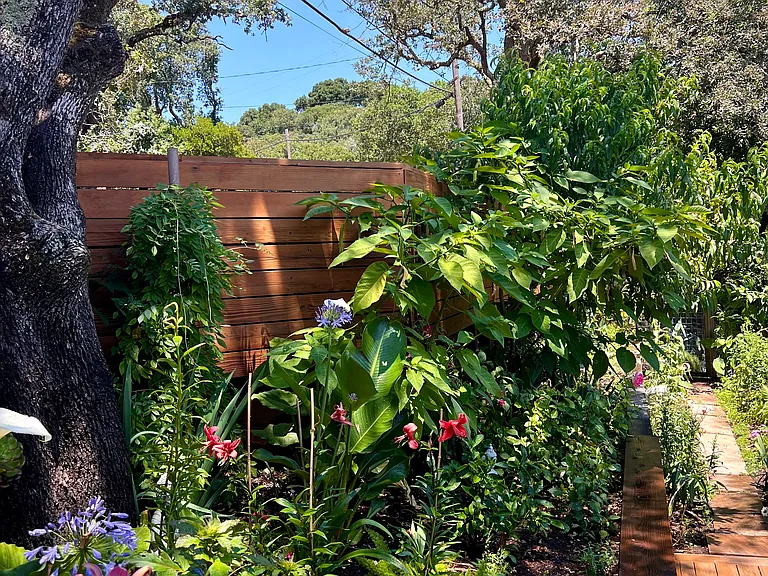 Upper garden view