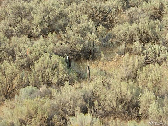 4th image of 4955 Plum Point E