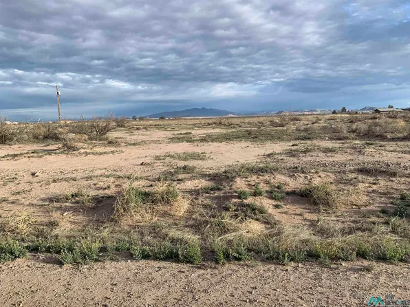 Brangus Road Southeast Rd, Deming, NM 88030