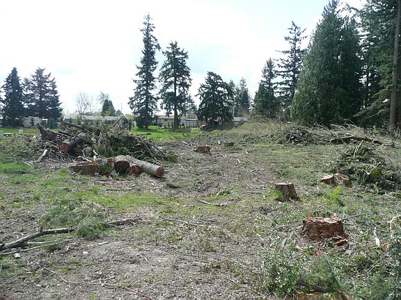 3rd image of 1718 100th Avenue Ct E