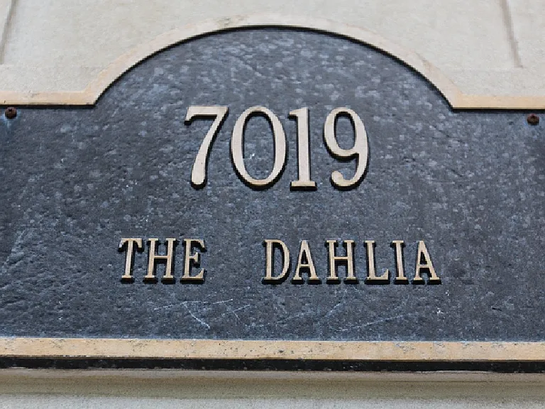 The Dahlia — Photo 30