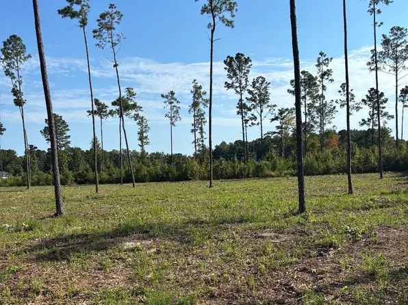 TBD Cane Branch Church Rd. Lot 1, Conway, SC 29527