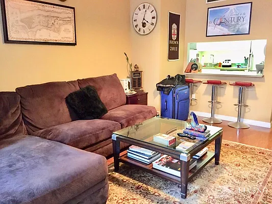 Rented by NY Living Solutions | media 25