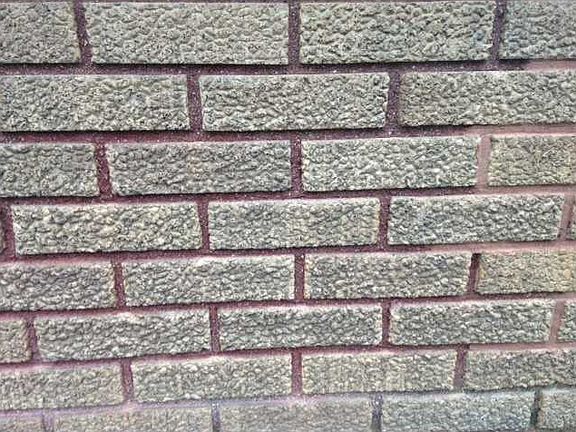 2nd image of 6236 N Park Ave
