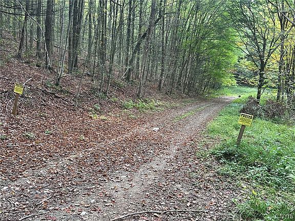 2nd image of Stramba Rd #42