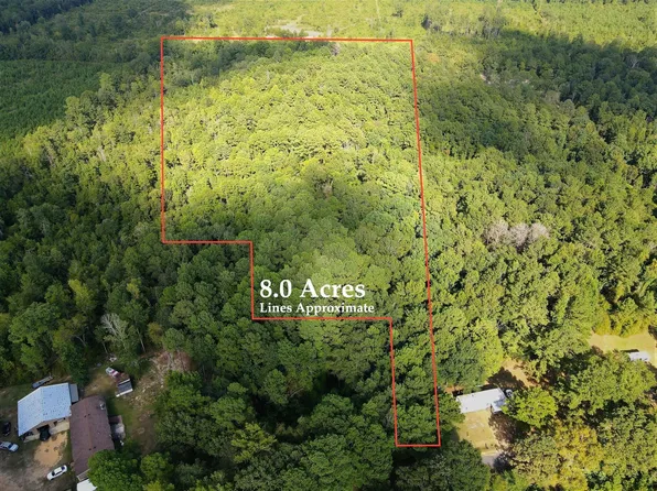 0 Blanchard Ln, Silver Creek, MS 39663