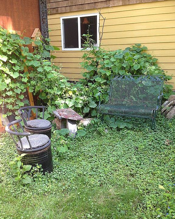 Back Garden