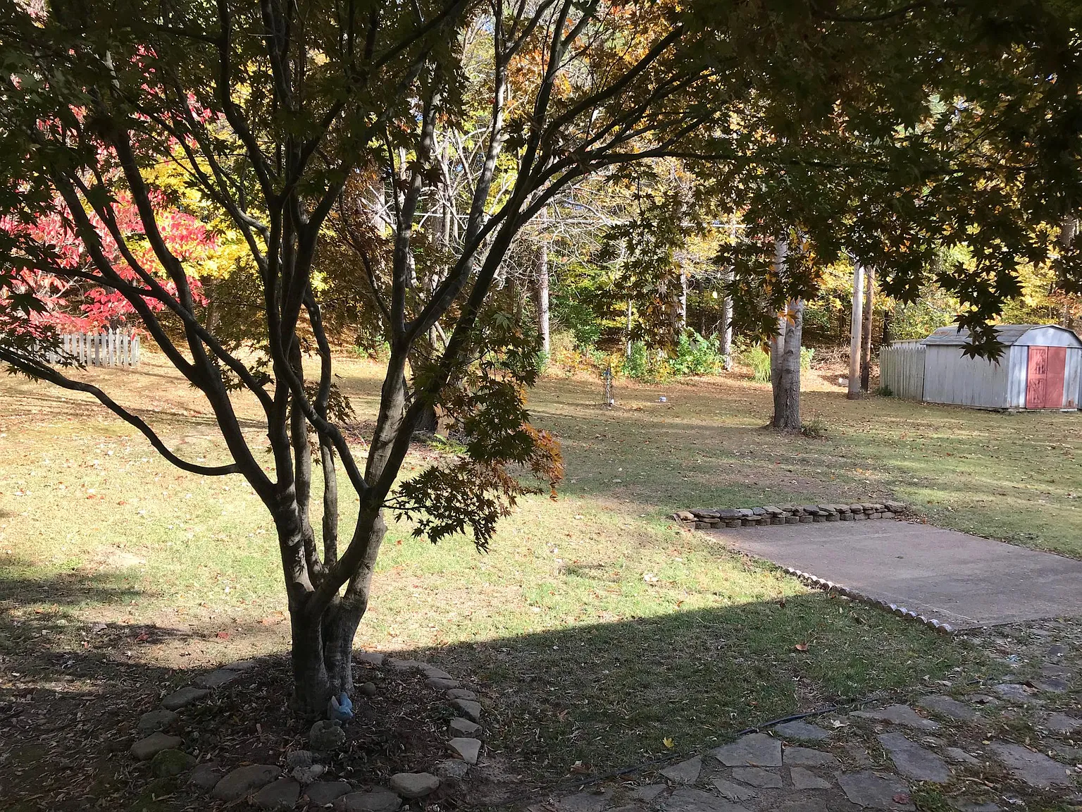 3 bed, 1000 sqft, $1,350 — Photo 4