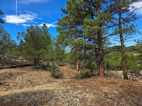 5th image of 243 Iron Mountain Ln