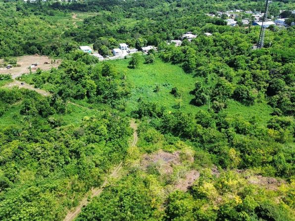 0 Cienaga Baja, Rio Grande, PR 00745
