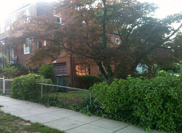 Beautiful Yard