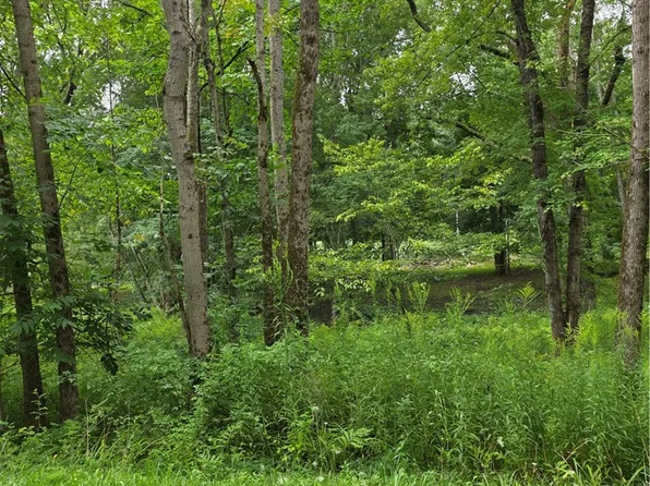 Duffytown Rd, Eldred, PA 16731