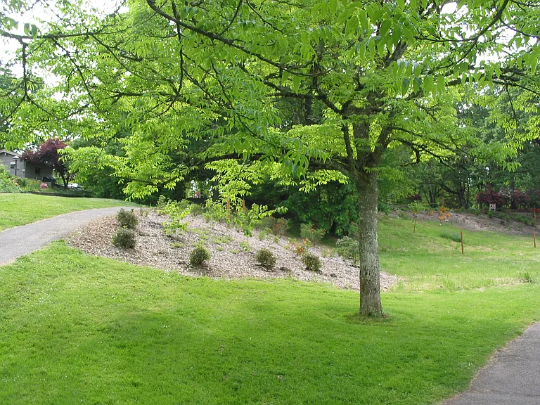 Bush park.