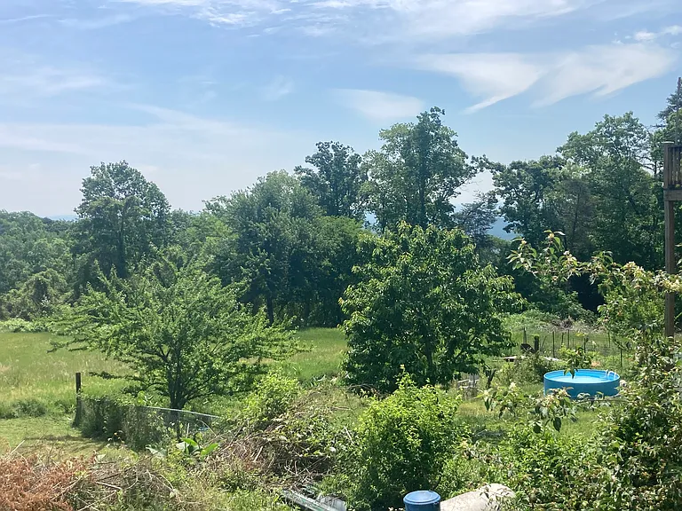 1823 Lula Lake Rd — Photo 21