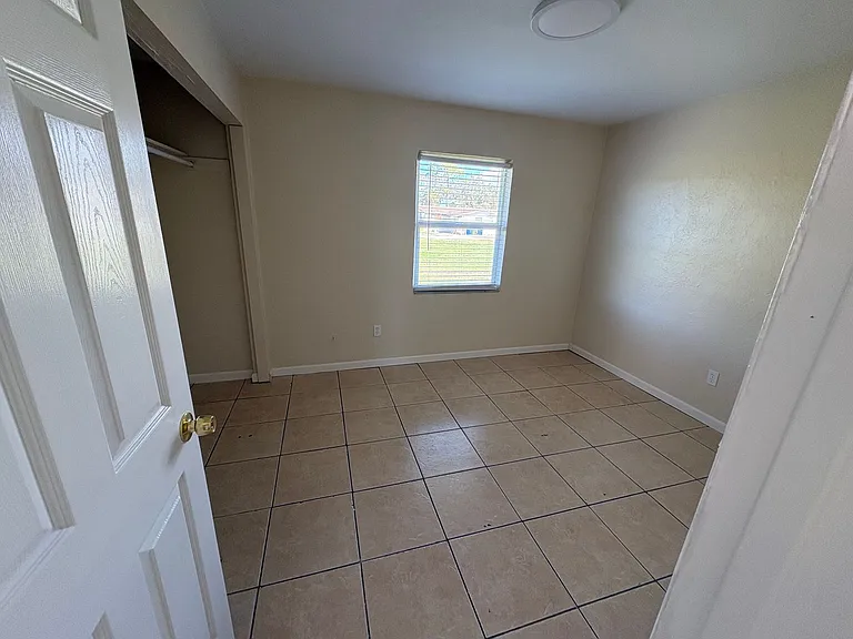 Mango Ave — Photo 4