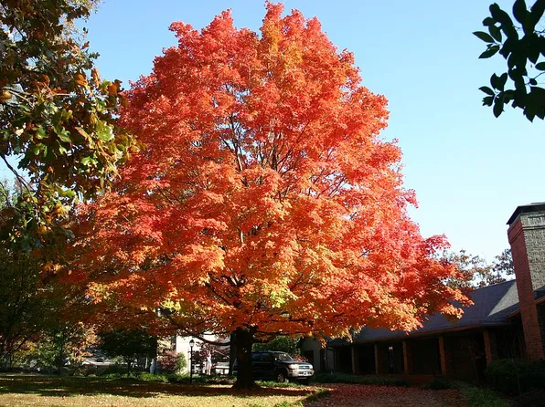 2 Broadview Dr, Little Rock, AR 72207