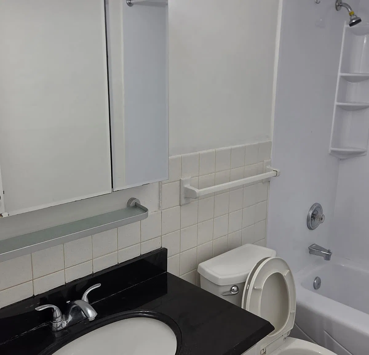3 bed, 1000 sqft, $1,500 — Photo 2