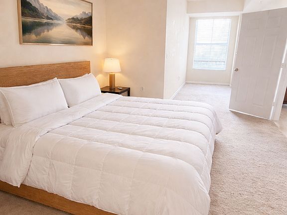 5th image of 700 S Harbour Island Blvd Unit 206