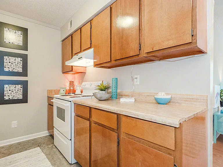 Forest Pointe — Photo 102