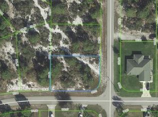 113 Plum Ave NW, Lake Placid, FL 33852