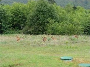 326C Independence Rd, Rochester, WA 98579