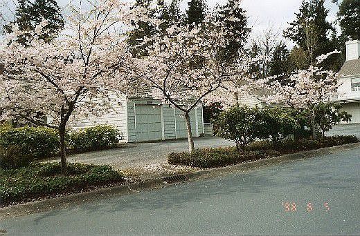 2nd image of 4141 220th Pl SE