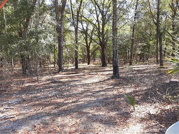 3rd image of 1693 County Rd #479
