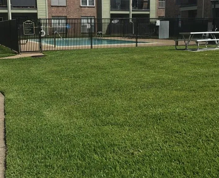 18800 Egret Bay Blvd #1411 — Photo 5